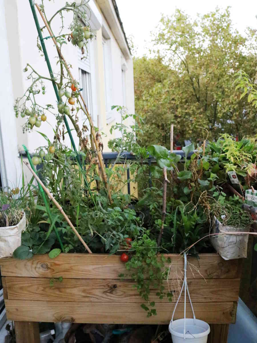 choisir le bon pot : bac potager en bois de Mélèze pour cultiver un potager en carré sur balcon. | Échoppe Végétale #jardinagefacile #balcon #potagerencarré #potagerurbain
