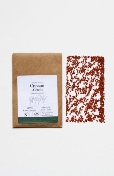 graines de cresson alénois bios à cultiver au balcon potager