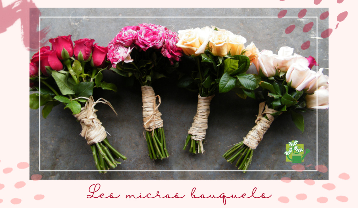 micros bouquets, au pays de mère nature, une box jardinage bio en partenariat avec l'association vers l'insertion professionnelle des femmes, fleurs de cocagne - échoppe végétale