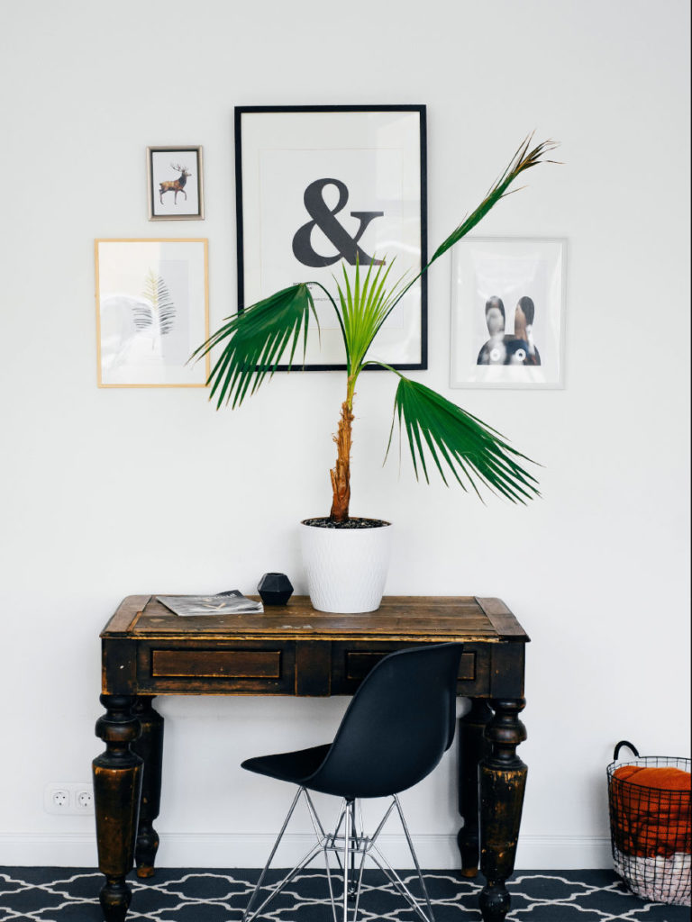 décorer son appartement avec des plantes d'intérieur en mode lagom